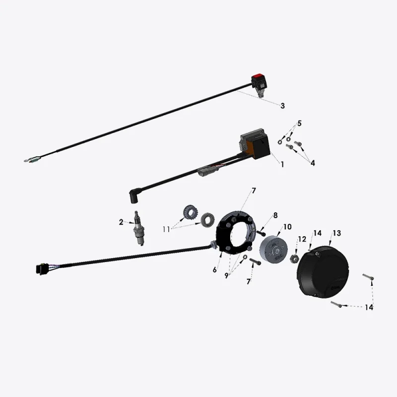 2025-CX50FWE-Electrical System