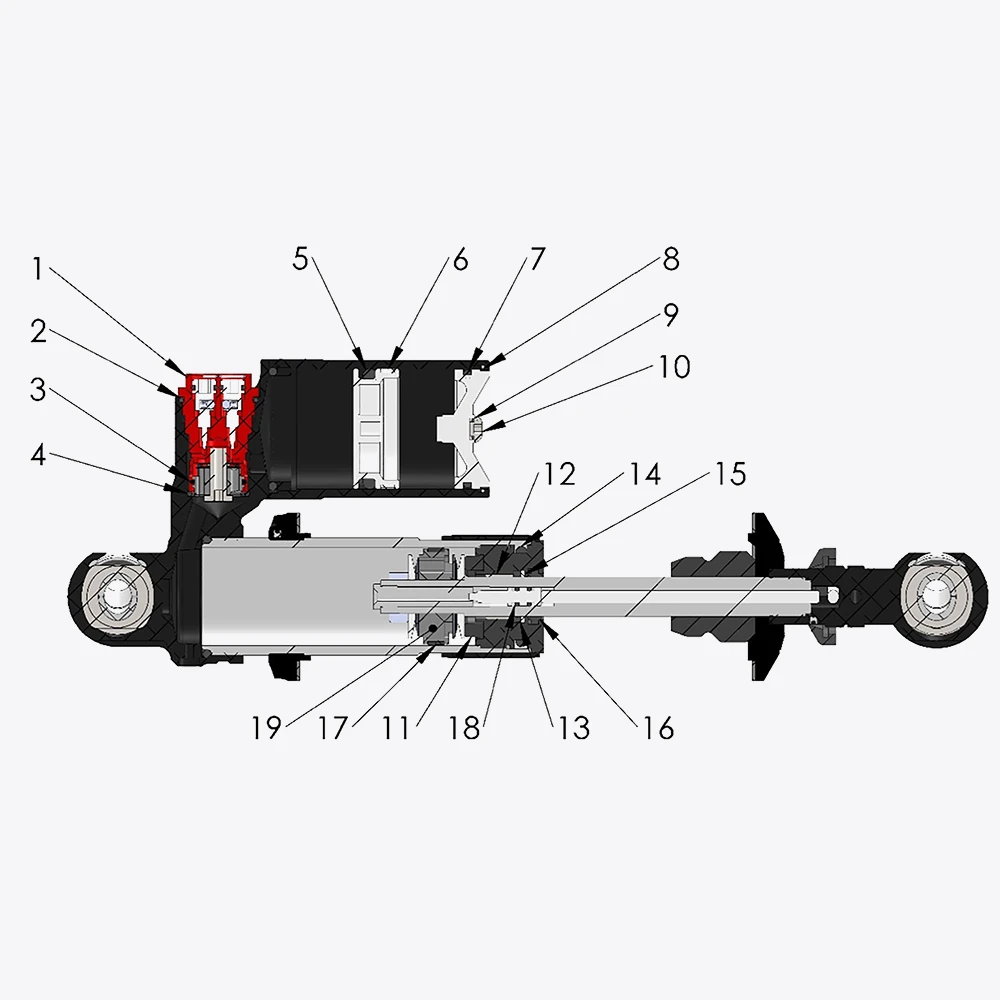 Shock - Internal